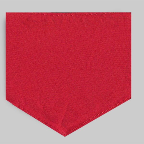 Douglas Small Bandana Thumbnail